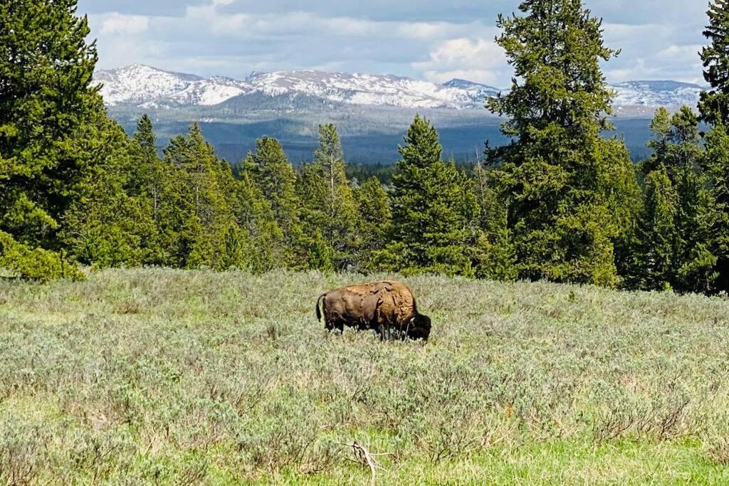 Bear Lair At Teton Valley Idaho Виктор Экстерьер фото